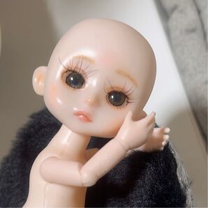 カスタムヘッド セリア ドール 開眼 メイク済み