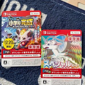 値下げ☆Switch ダウンロードカード