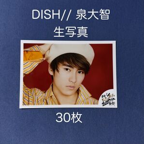 DISH// 生写真 泉大智 30枚