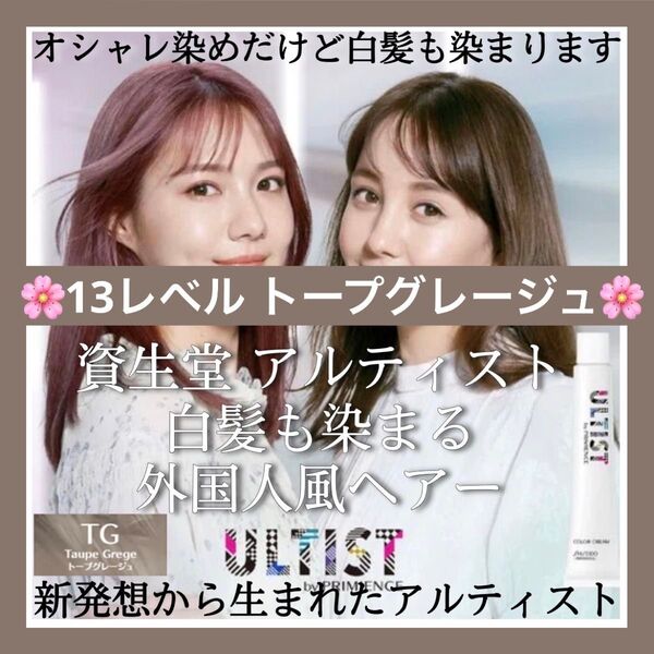 資生堂 ヘアカラー アルティスト プリミエンス【トリートメント イルミナカラー 等 同梱割有おまとめはコメントくださいませ】