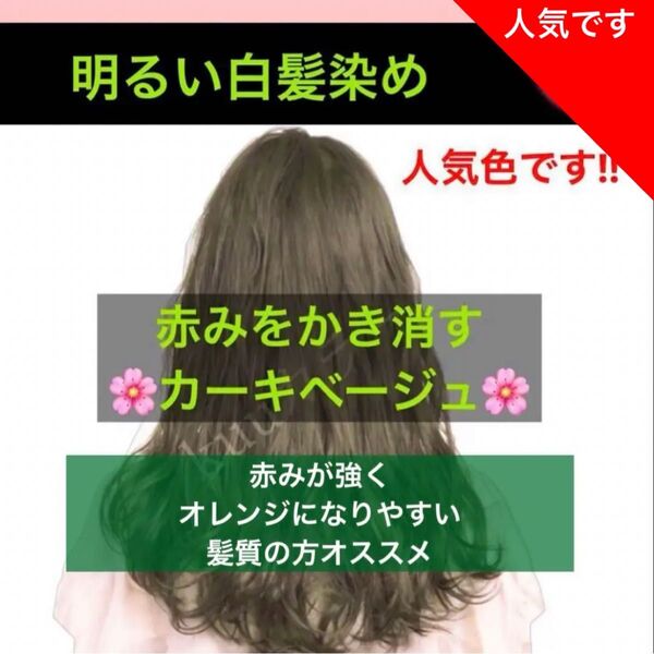 スロウ 白髪染め ヘアカラー 【プリミエンス イルミナカラー トリートメント など!同梱割有おまとめはコメントくださいませ】