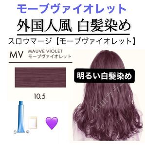 スロウ 白髪染め ヘアカラー 【プリミエンス イルミナカラー トリートメント など!同梱割有おまとめはコメントくださいませ】
