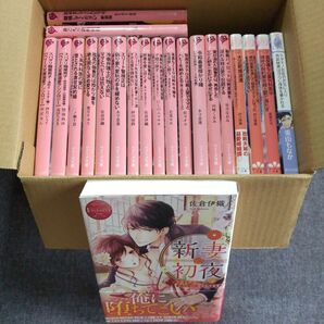 TL小説 21冊まとめ売り セット売り
