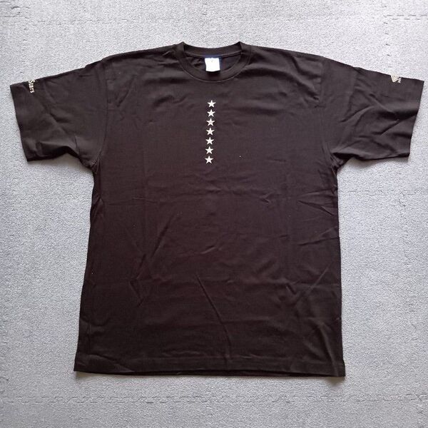 【超激レア・入手困難品】HONDA HRC Tシャツ Vintage