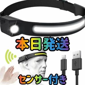 ヘッドライト 人感ライト ヘッド ランプ ライト USB IPX4防水 350ルーメン高輝度 サイズ調節可能 LED アウトドア