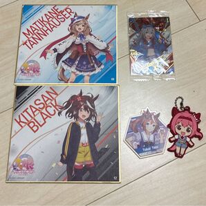 ウマ娘 ランダム色紙 トウカイテイオーアクリルバッジ タマモクロスカード ハルウラララバーキーホルダー