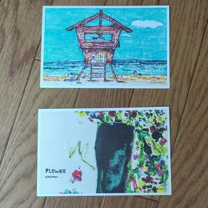 ポストカード 2枚 木梨憲武