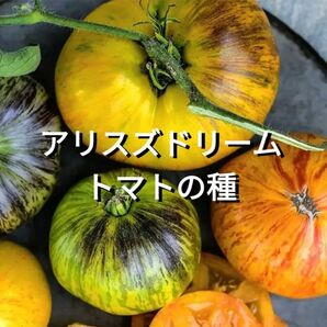アリスズドリームトマトの種(自然栽培)
