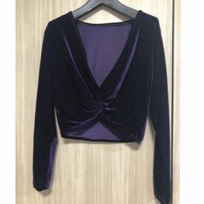 レディース パープル ベロア ショート カットソー