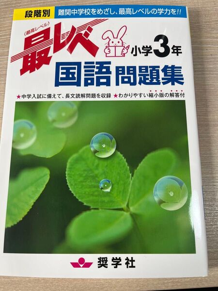 最レベ国語問題集 小学3年生