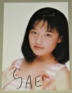 SAE(グラビアアイドル？歌手？) 正式タレント名不明 直筆サイン入り生写真 約17x12㎝/検; 芸能人タレント モデル