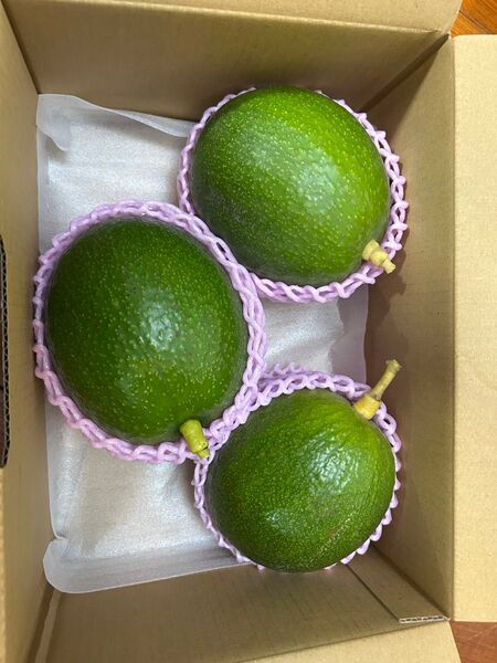 宮崎産 特大!アボカド 3個