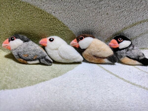 白文鳥、桜文鳥、シルバー文鳥、シナモン文鳥 ブローチ(バッジ)4羽セット