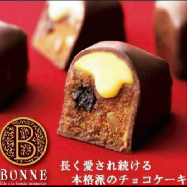 ボンヌ 5個 チョコレートケーキ ロングセラー