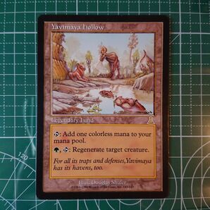 MTG Yavimaya Hollow 英語