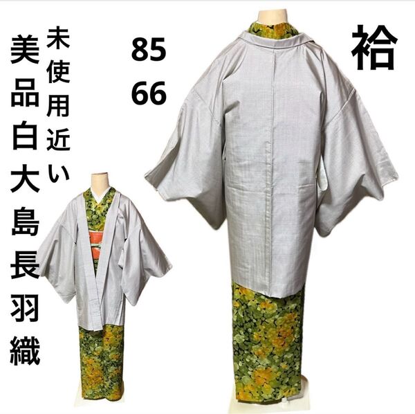 未使用近い 美品 白大島 長羽織 裄丈66 大島紬 身丈85 袷