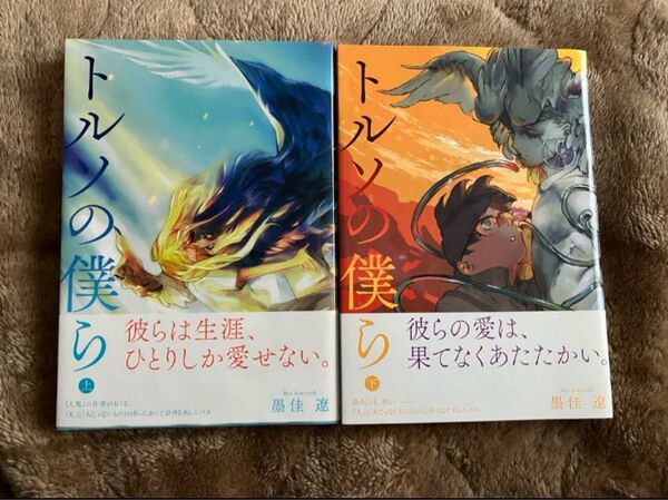 トルソの僕ら 上下巻 初版 墨佳遼
