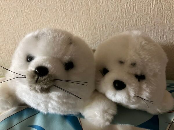 アザラシ ぬいぐるみ 2体