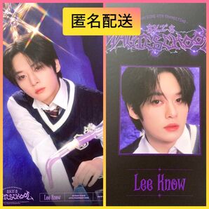 straykidsスキズ リノ 韓国ペンミ magic school プロフィールポスターセット