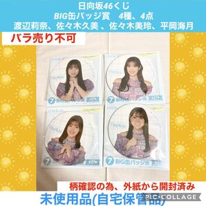 日向坂46くじ BIG缶バッジ賞 4種、4点 渡辺莉奈佐々木久美 佐々木美玲 平岡海月 缶バッジ 日向坂46 アイドル 推し活