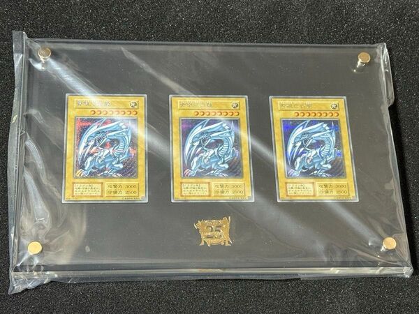 遊戯王 青眼の白龍 シークレットレア 3枚セット ディスプレイケース 新品未開封品 海馬セット