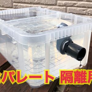 めだか飼育ケース 隔離用 観察用 クリア