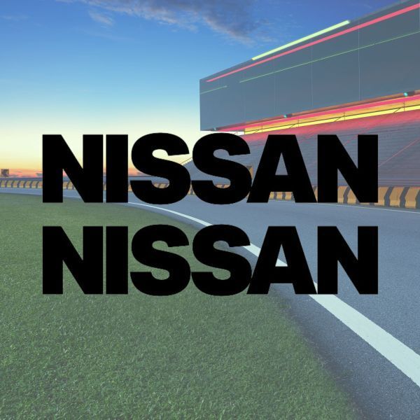 送料無料◆カッティングシートステッカー NISSAN ニッサン◆ブラック|20cm|2枚セット 超防水 UVカット 屋外使用可【C124_2】