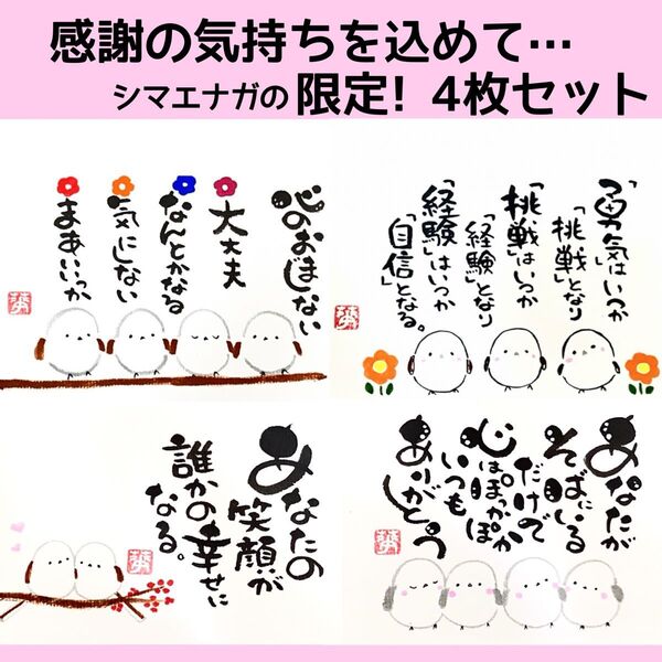 筆文字 筆文字アート シマエナガ かわいい 前向き ギフト 感謝の気持ち プレゼント 限定価格 クーポン利用可!