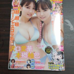 ヤングマガジン 表紙 沢口愛華 本郷柚巴