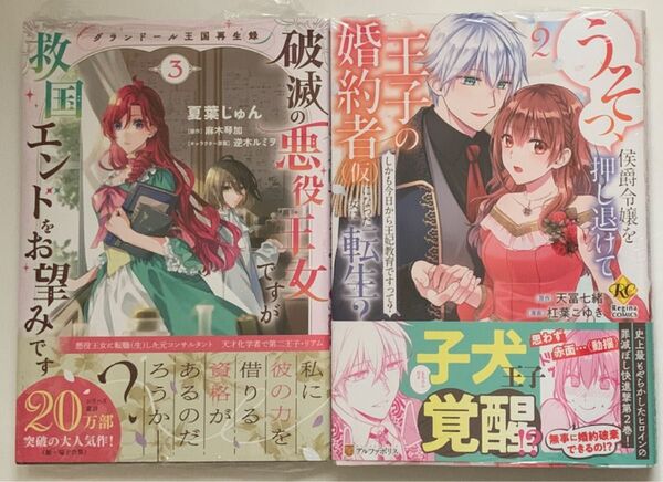 破滅の悪役王女ですが救国エンドをお望みです グランドール王国再生録 3巻 うそっ、侯爵令嬢を押し退けて王子の婚約者〈仮〉に〜 2巻