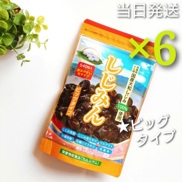 ◆当日発送◆ はつらつ堂 しじみん ビッグタイプ 540粒 6袋【新品未開封】
