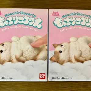 もっちりころりんねこ ②へそ天ハチワレグレー 2個