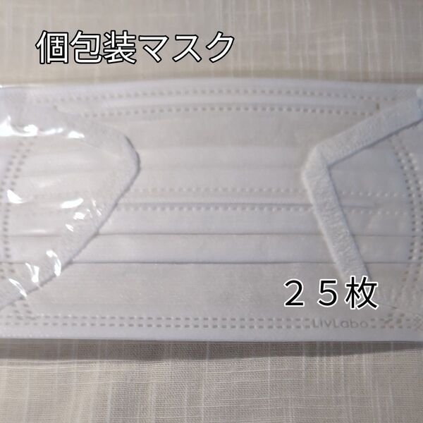 個包装マスク 25枚入り 新品未開封