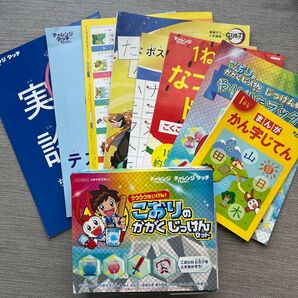 チャレンジタッチ1年生8月号 ワーク・こおりの実験