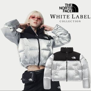 【韓国限定モデル】THE NORTH FACE ヌプシダウンジャケット シルバー
