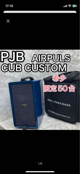 phil jhones bass CUB ギターアンプ