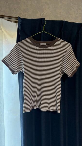 Tシャツ 半袖 カットソー トップス コットン ボーダー 半袖Tシャツ 半袖カットソー