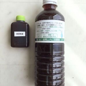 EM活性液 糖蜜入り EM菌 ペット 犬猫 除菌 畑 掃除 お手入れ ポトス