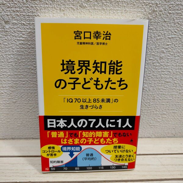 『 境界知能の子どもたち / 「IQ70以上85未満」の生きづらさ 』 ■ 宮口幸治 / 子育て 学習 生活 捉え方 接し方 等