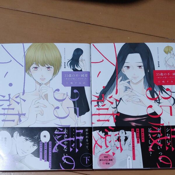 35歳の不・純愛~あなたが恋しいだけ 上 (BUNKASHA COMIC) 小嶋 すみれ 著