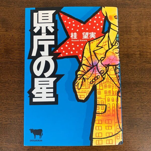 県庁の星 桂望実