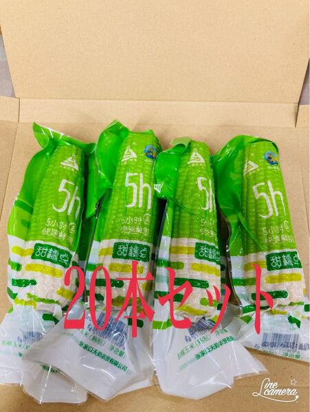 糯玉米棒 モチとうもろこし 軸付き糯玉米 20本セット