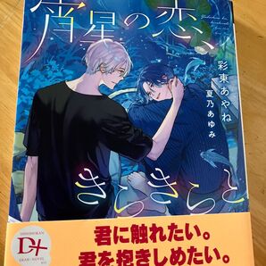 宵星の恋、きらきらと (新書館ディアプラス文庫 611) 彩東あやね/著