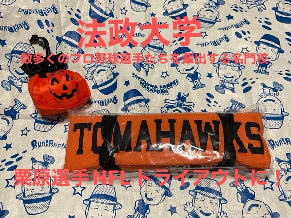 法政大学アメリカンフットボール部 折り畳み座布団 未使用品