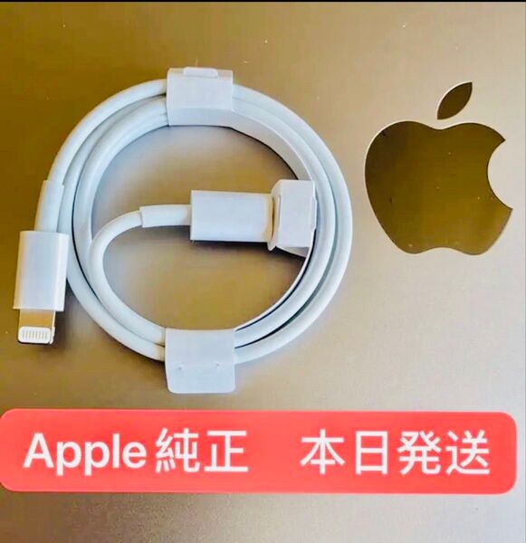 新品 未使用 iPhone 付属品Lightningケーブル