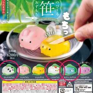 のびーる笹みずもち ぱんだみずもち こけみずもち あざらしみずもち 3点セット ガチャ