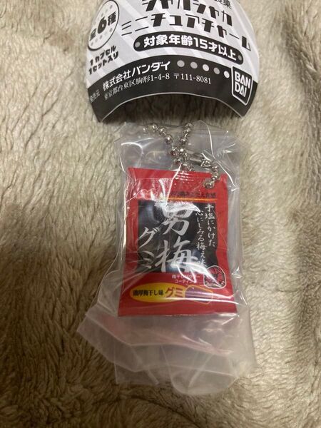 ガチャ ガシャポン ミニチュアチャーム 男梅グミ ノーベル