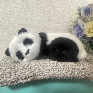【最終価格】パンダ 消臭剤 動物 ぬいぐるみ 消臭炭 脱臭剤 消臭 脱臭 人形 活性炭 匂い対策 カー用品 インテリア 置物