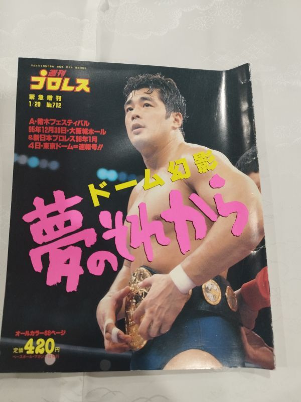 2025年最新】Yahoo!オークション -週刊プロレスの中古品・新品 2025年最新】Yahoo!オークション -週刊プロレスの中古品・新品