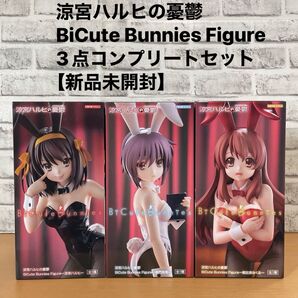 涼宮ハルヒの憂鬱 BiCute Bunnies Figure3点コンプリートセット